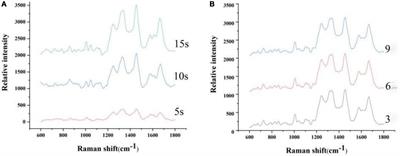 Identification of foodborne pathogenic bacteria using confocal Raman microspectroscopy and chemometrics